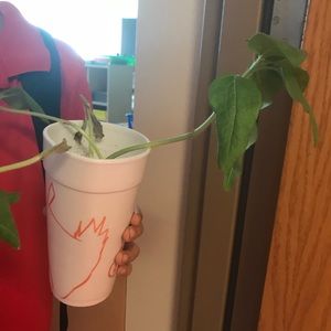 Meet your Posher, Wendy